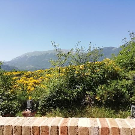 Luci Sui Monti Bed & Breakfast Sarnano Ngoại thất bức ảnh